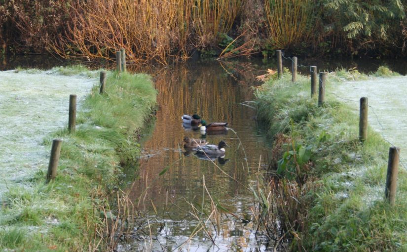 Start algemeen werk 2017